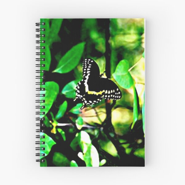 Item preview, Palamedes Butterfly designed and sold by Daneann.