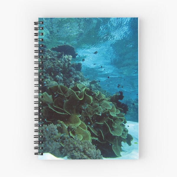 Item preview,  Paso swinger designed and sold by Coral Sea Foundation.