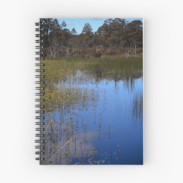 Item preview, Reflections designed and sold by Ben Rae.