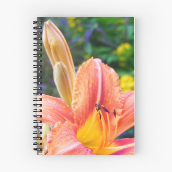 Item preview, From bud to adulthood designed and sold by deluca.