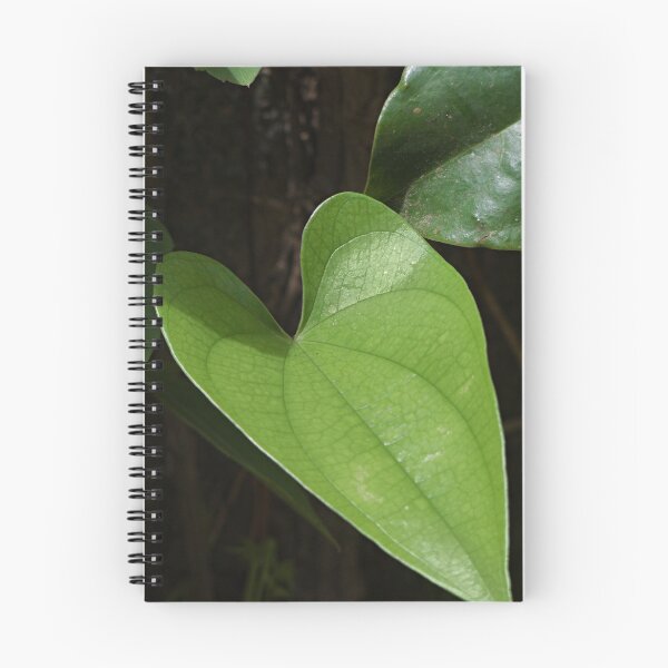 Item preview, Heart Leaf designed and sold by PixPlanet.