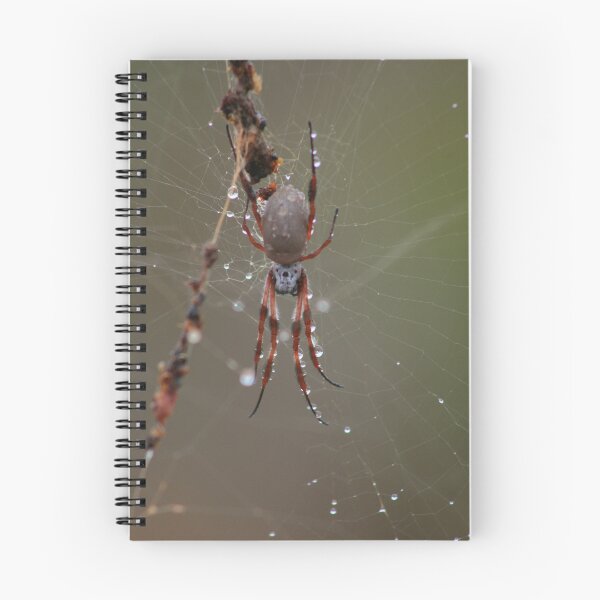 Item preview, Smiling in the Rain. designed and sold by Paula Bone.