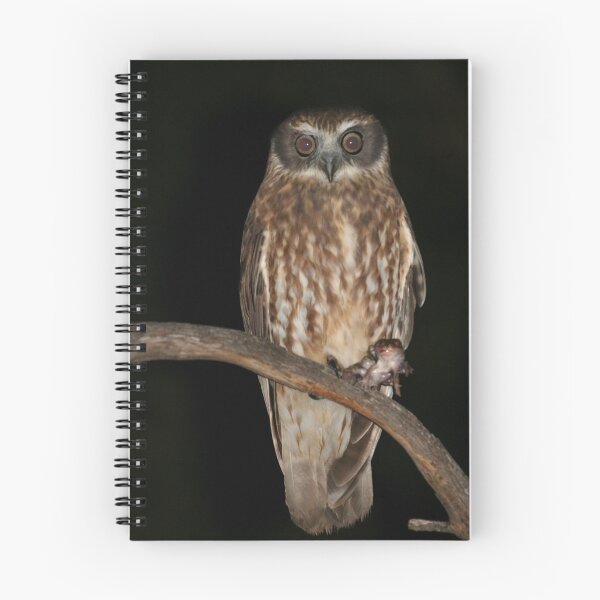 Item preview, Boobook Owl with dinner designed and sold by ChrisCoombes.