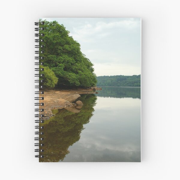 Item preview, Lakeside designed and sold by Wayne Holman.