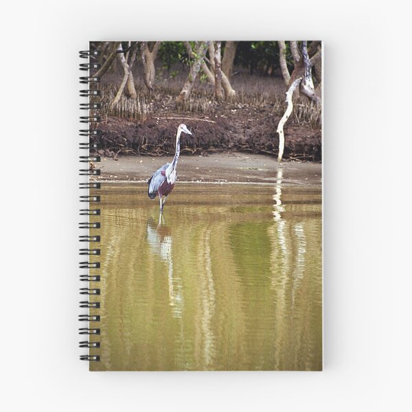 Item preview, Goliath Heron - St Lucia, South Africa designed and sold by Bev Pascoe.
