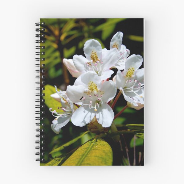Item preview, Rhododendron designed and sold by David Lampkins.