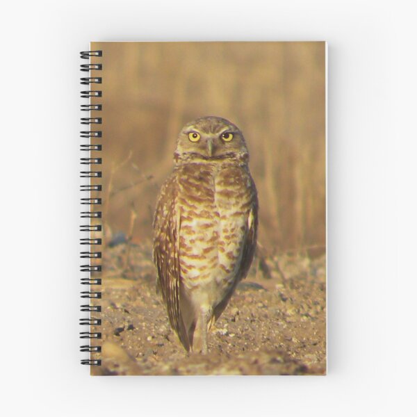 Item preview, Burrowing Owl designed and sold by ChuckCheatham.
