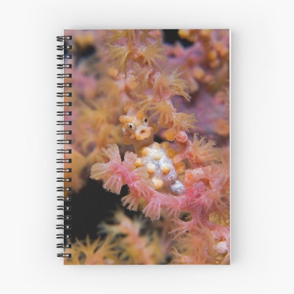 Item preview, Pygmy Seahorse (Hippocampus bargibanti) designed and sold by daveharasti.