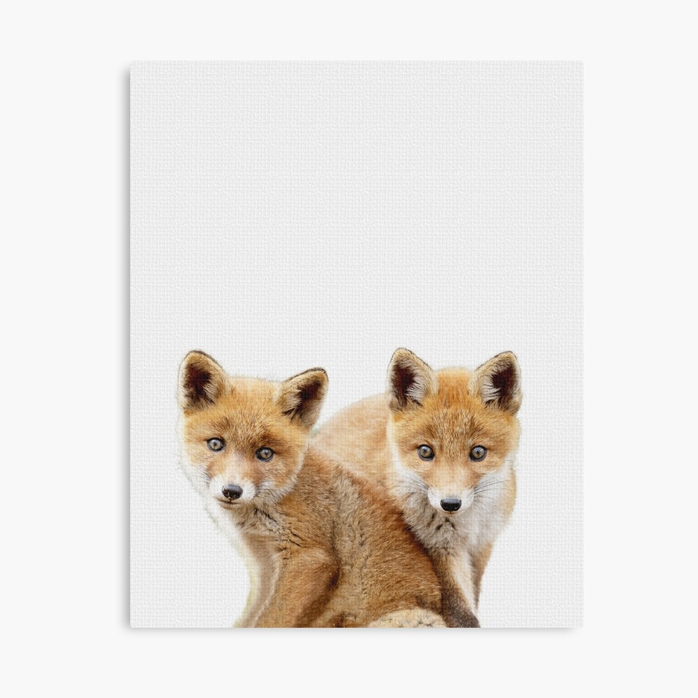 baby fox nursery decor