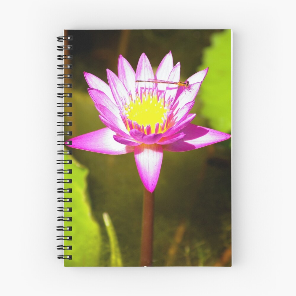 Item preview, Spiral Notebook designed and sold by StillFrameTime.