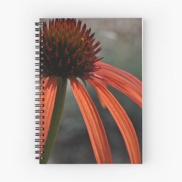 Item preview, Echinacea designed and sold by Denitsa Prodanova.