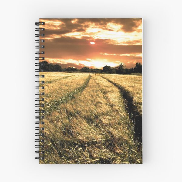 Item preview, sunset field 2  designed and sold by Joe  Sugg.