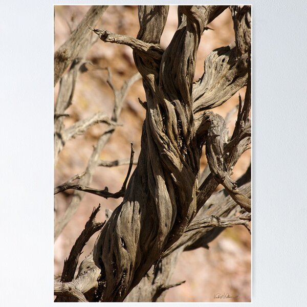 Aperçu de l'œuvre Twisted créée et vendue par Vicki Pelham.