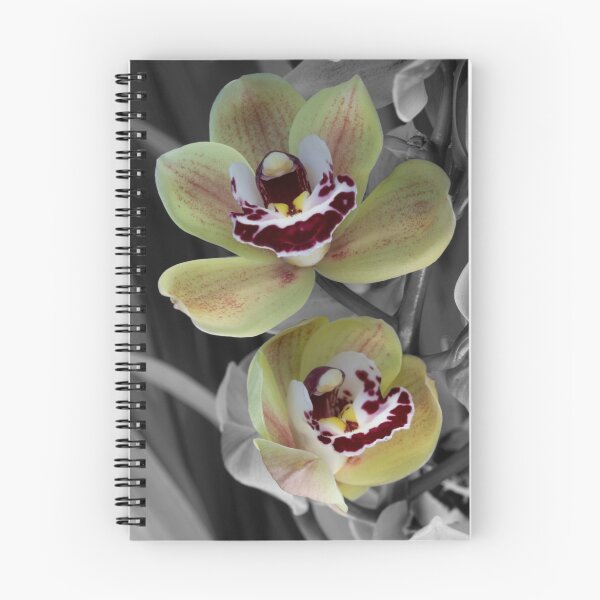 Item preview, Spot The Orchid designed and sold by deltafive.