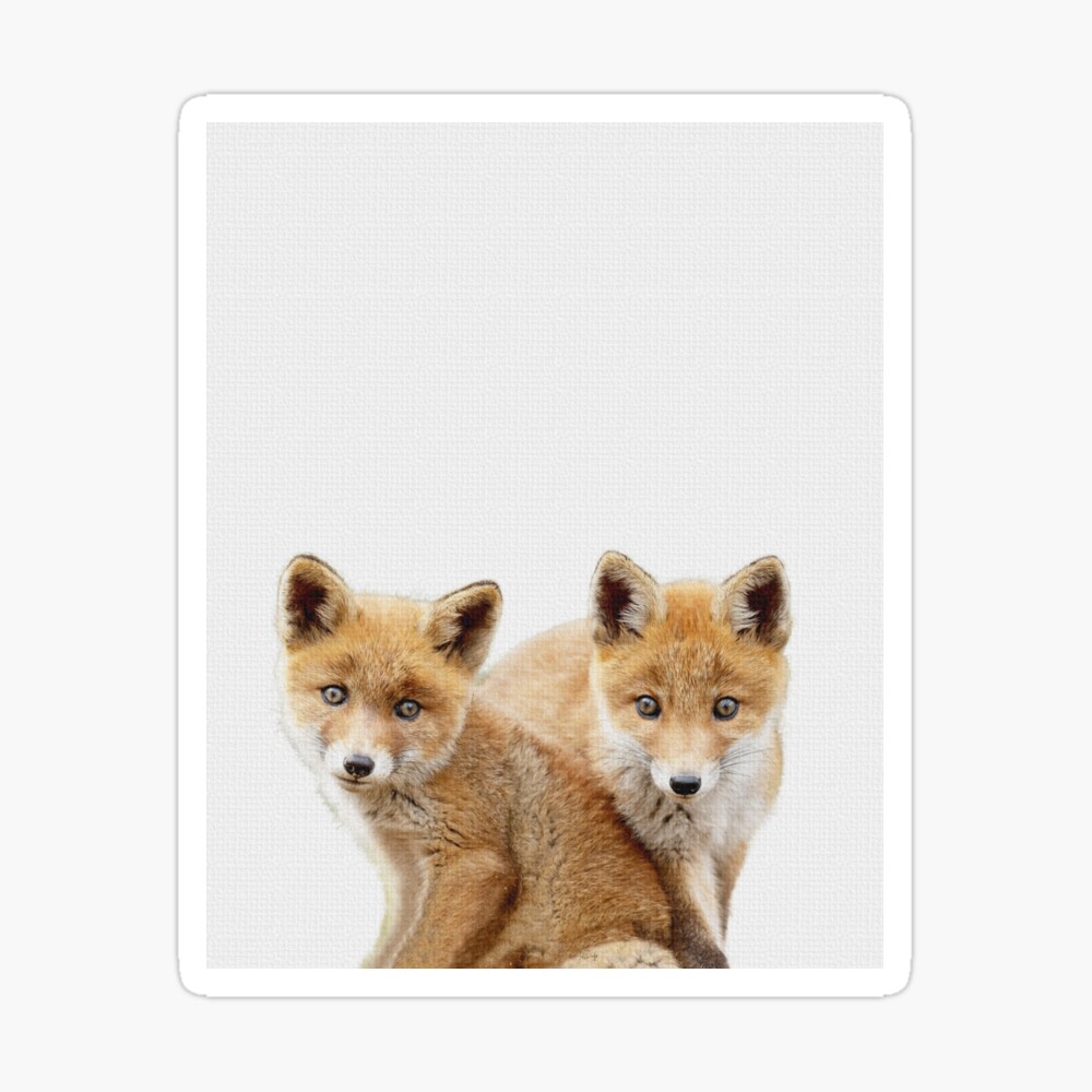 baby fox nursery decor