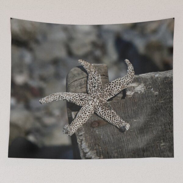 Item preview, starfish designed and sold by laura-S.