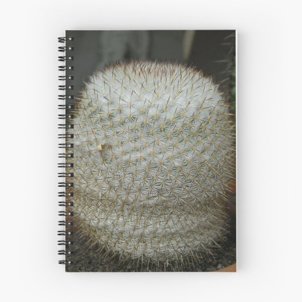 Item preview, Cacti 2 designed and sold by annalisa56.