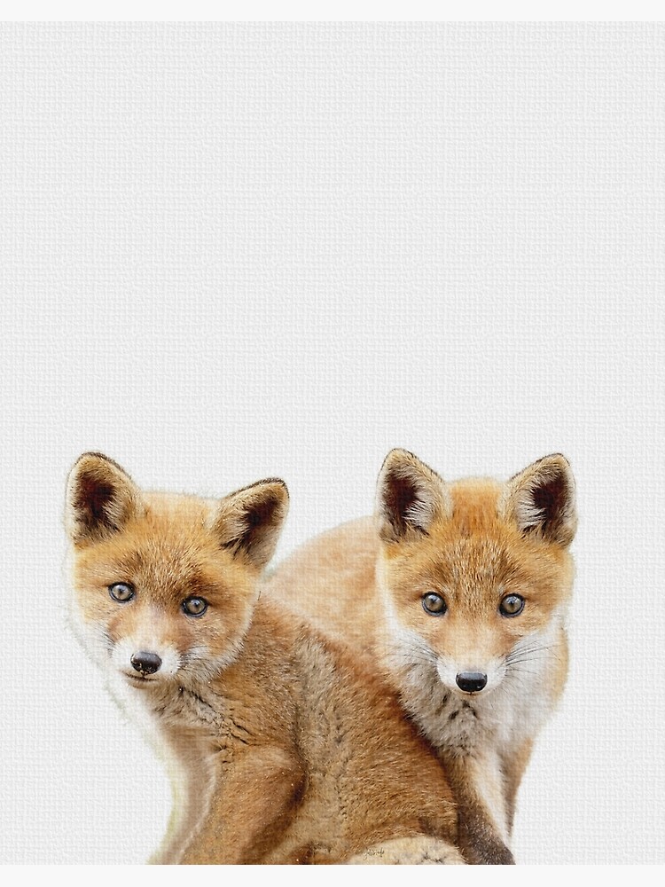 Impression Rigide Copies De Bebe Renard Jumeaux Art Animalier De Renard Jumeau Decor De Chambre D Enfant De Renard Animaux Des Bois Cadeau D Amour Pour Amoureux Par Resincherry Redbubble