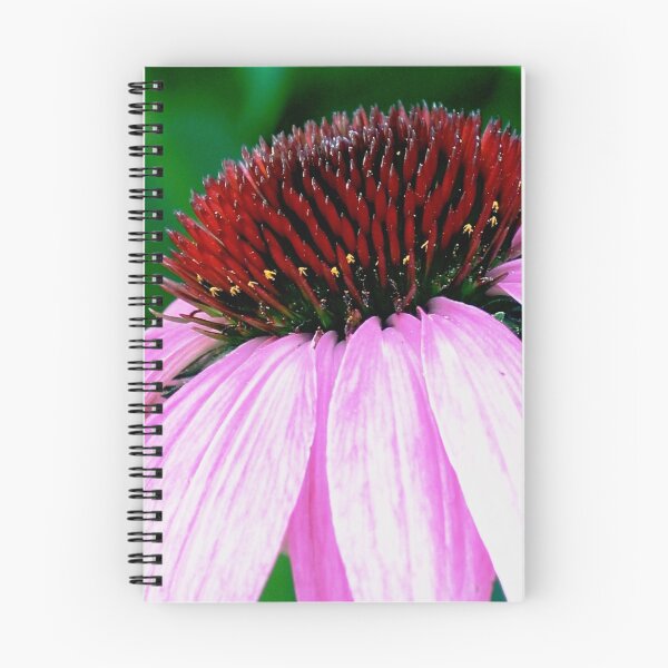 Item preview, Cone Flower designed and sold by Charlotte Hertler.