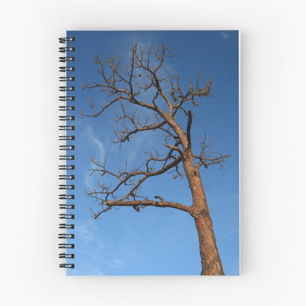 Item preview, Reaching For The Sky designed and sold by Virginia N. Fred.