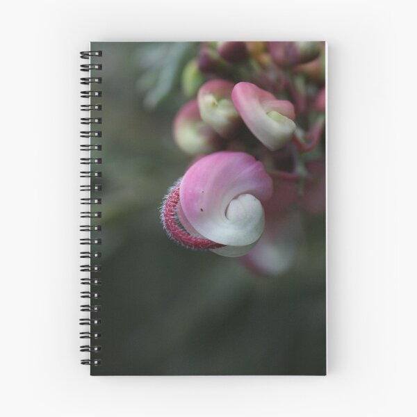 Item preview, Grevilleas in Pink & White designed and sold by Joy Watson - Natural Light Photography .