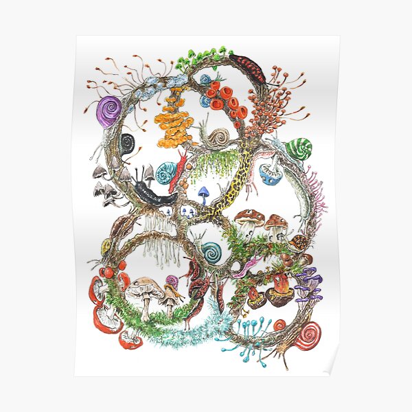 Schnecken & Pilze Poster