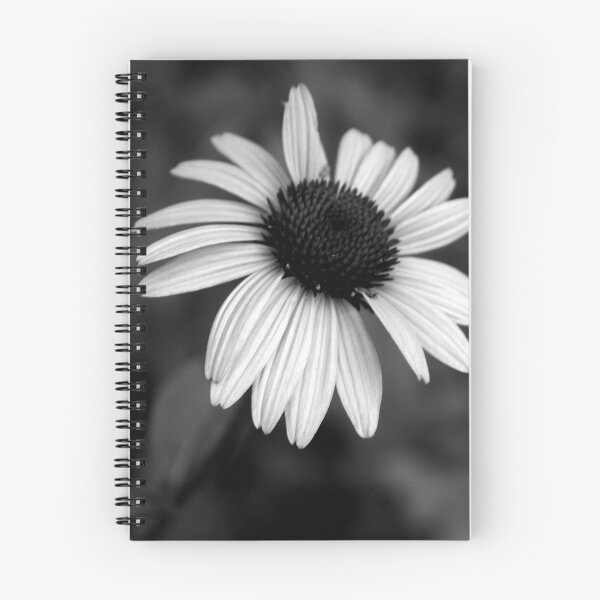 Item preview, Coneflower designed and sold by suzannem73.