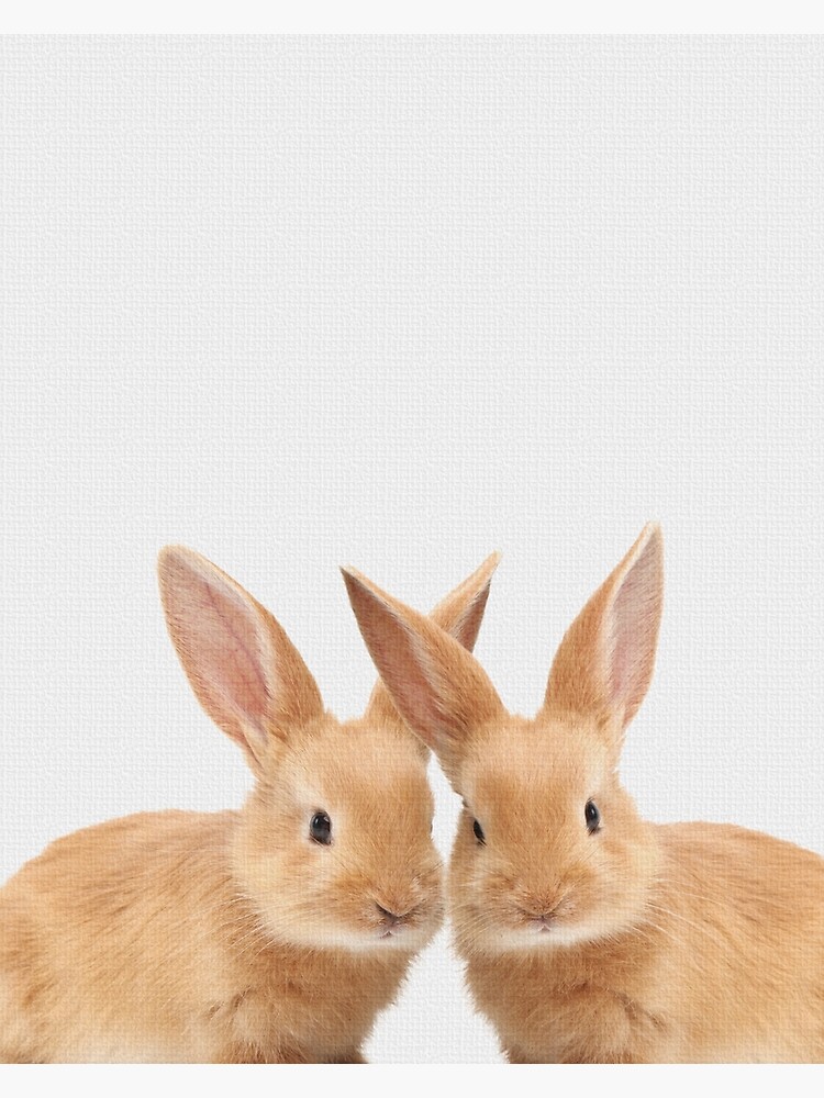 "Twin rabbit art prints, twin baby bunny, rabbit nursery art, nursery