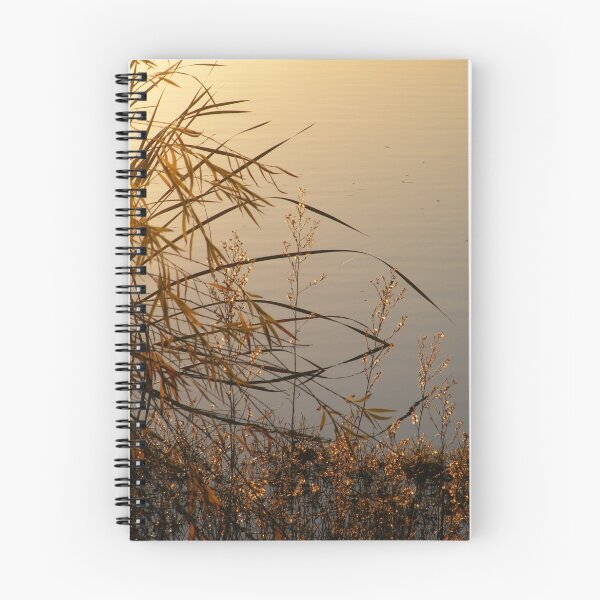 Item preview, Autumn Reeds - Lake Curlew, NSW designed and sold by gregorymcinnes.