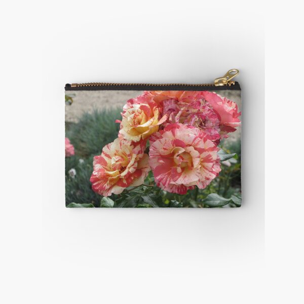 Artikelvorschau, Eine Gruppe gestreifter Rosen entworfen und verkauft von lezvee.