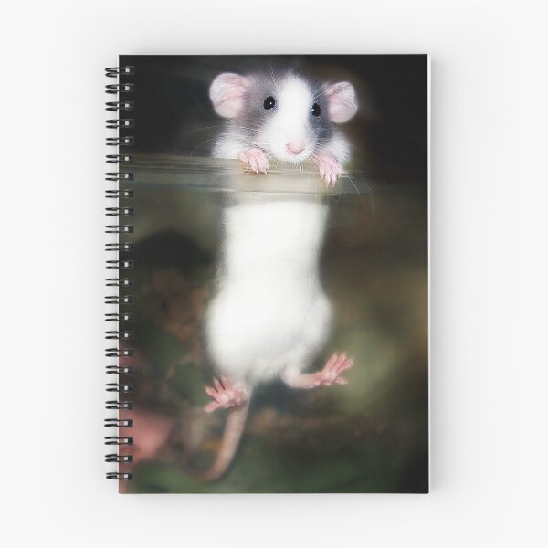Item preview, "Little Escape Artist" designed and sold by Melinda Stewart Page.