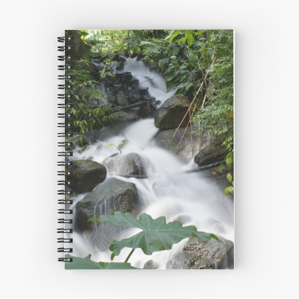 Vista previa del artículo con la obra «Cuaderno de espiral», diseñado y vendido por bertfletcher.