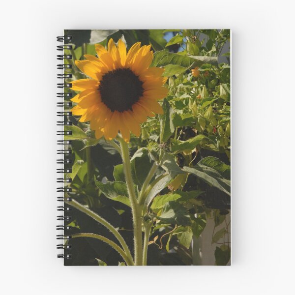 Item preview, Sunny Day designed and sold by placidstars.