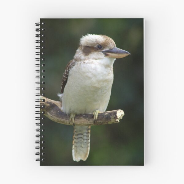 Item preview, Kookabara designed and sold by NickBlake.