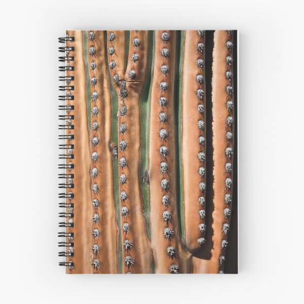 Item preview, Burned Saguaro designed and sold by Dick Paige.