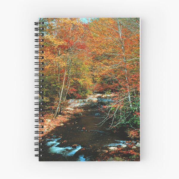 Item preview, ROARING FORK,AUTUMN designed and sold by Chuck Wickham.