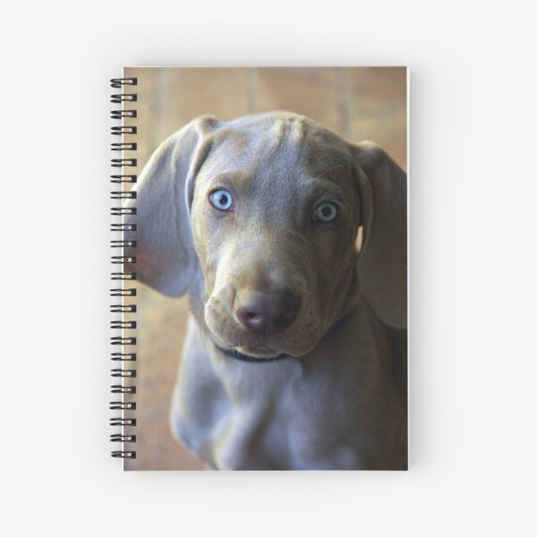 Introducing Hendrix Spiral Notebook