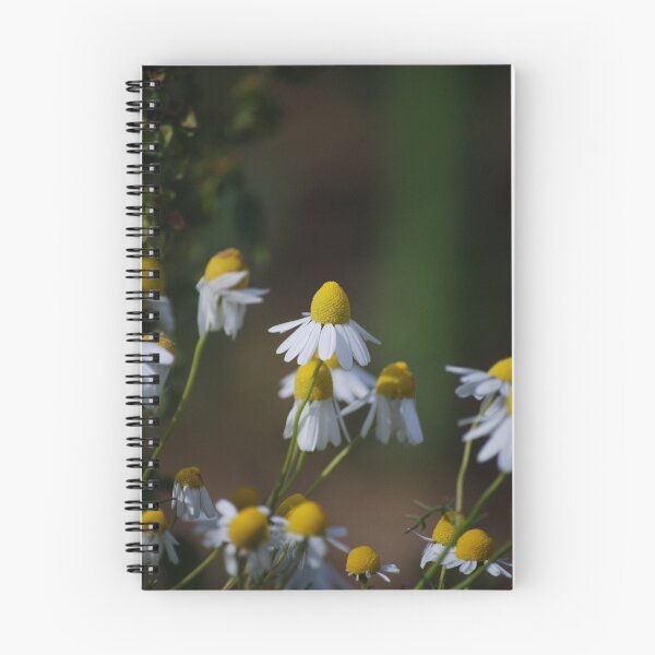 Item preview, Camomile designed and sold by Rowan  Lewgalon.