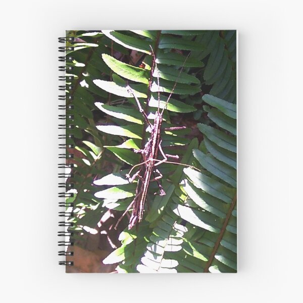 Item preview, Eewh! A Bug on the Fern designed and sold by Daneann.