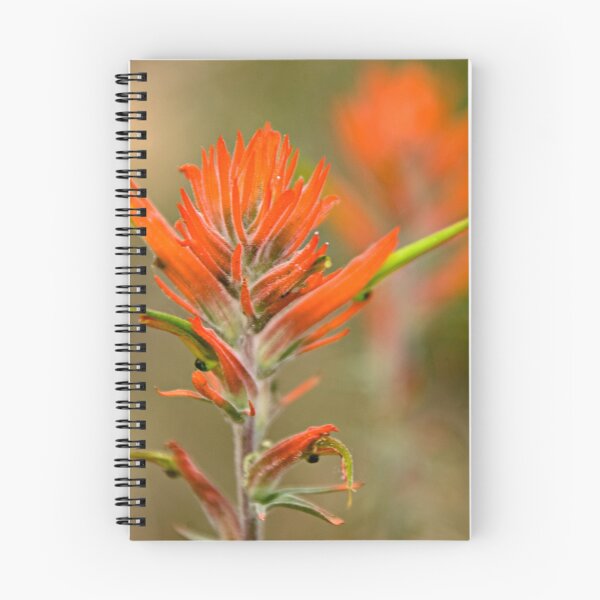 Aperçu de l'œuvre Bryce Paintbrush créée et vendue par Beth Mason.
