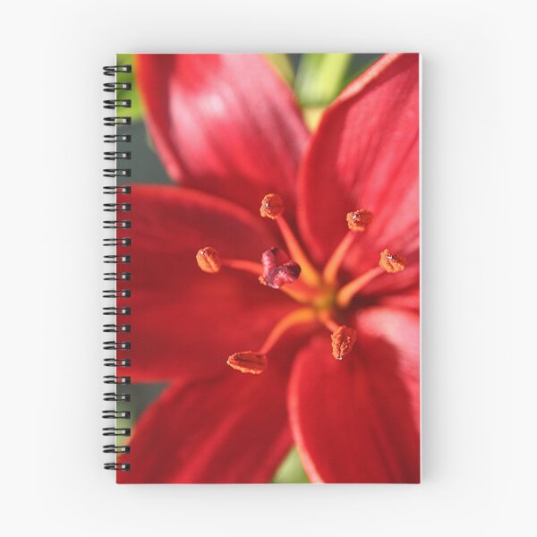 Item preview, Red Outburst designed and sold by stephenralph.