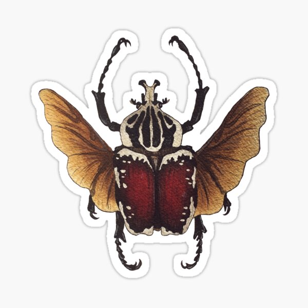Item preview, Goliathus dynistae Goliath beetle watercolor designed and sold by Wieskunde.