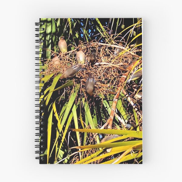 Item preview, Cabbage Palm Banquet designed and sold by Daneann.