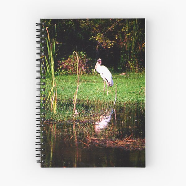 Item preview, Stork Stopped designed and sold by Daneann.