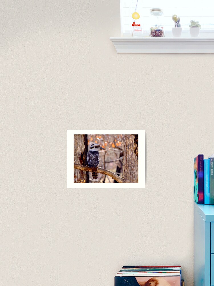 Thumbnail 1 of 3, Art Print, Kookaburra Dawn designed and sold by theoddshot.