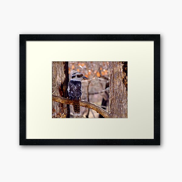 Framed Art Print