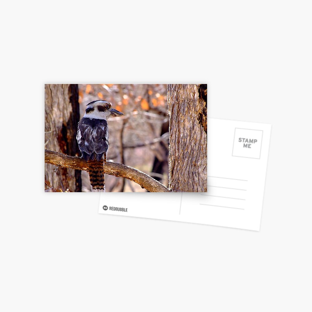 Item preview, Postcard designed and sold by theoddshot.