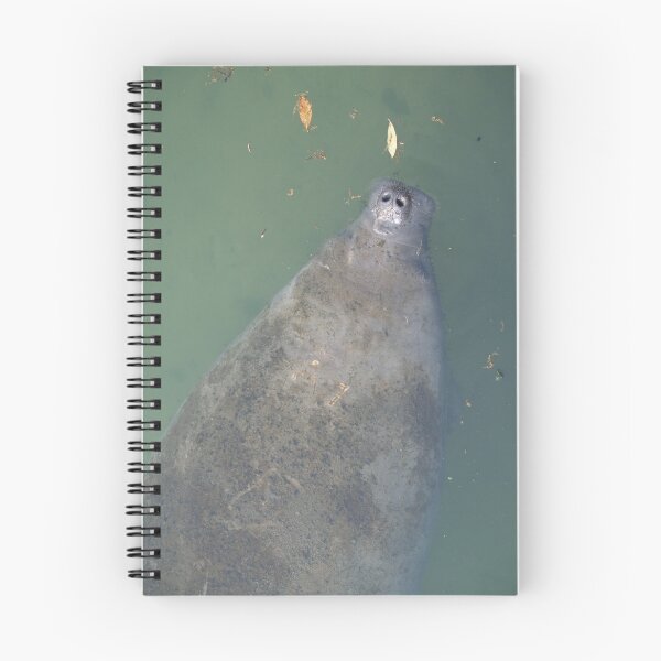 Artikelvorschau, Manatee at Blue Springs entworfen und verkauft von twinmoon.