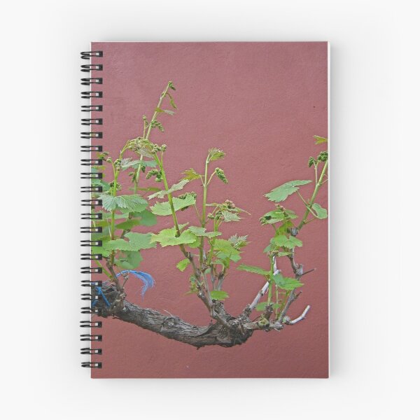 Item preview, Grape Vine (Haiku 5 - 6) designed and sold by aaeiinnn.