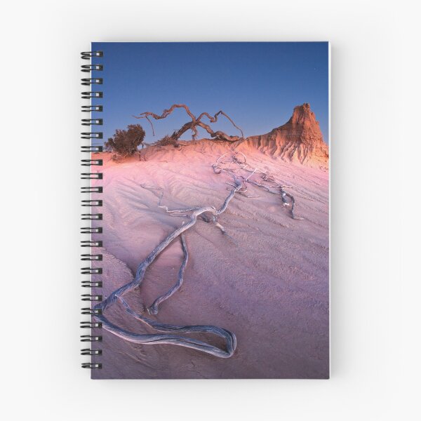 Item preview, Past Climates Preserved designed and sold by Garry Schlatter.